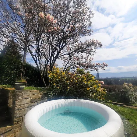 Magnolia